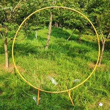 Load image into Gallery viewer, Circle Wedding Arch Background Wrought Iron Shelf Decorative Props DIY Round Party Background Shelf Flower with Frame